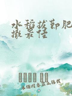 水稻拔节肥何时撒最佳