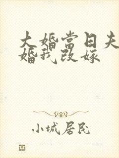 大婚当日夫君逃婚我改嫁