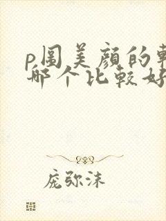 p图美颜的软件哪个比较好用