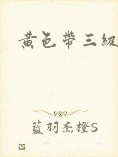 黄色带三级在线