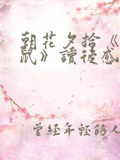朝花夕拾《狗猫鼠》读后感500字