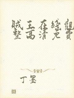 贼王在线观看完整高清免费播放