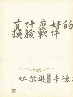 有什么好的ai换脸软件