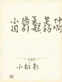 小肠气是什么原因引起的啊