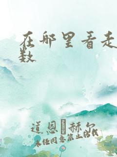 在哪里看走路步数
