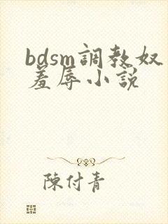 bdsm调教奴羞辱小说