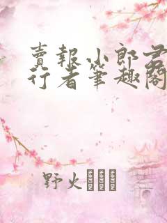 卖报小郎君灵境行者笔趣阁