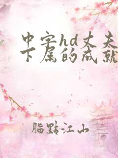 中字hd丈夫的下属的成就与荣