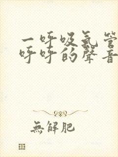 一呼吸气管里有呼呼的声音