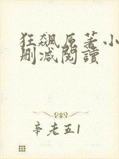 狂飙原著小说无删减阅读