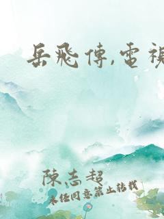 岳飞传,电视剧
