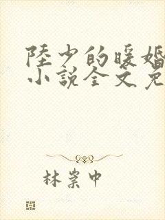 陆少的暖婚新妻小说全文免费阅读 陆少的暖婚新妻小说全文免费阅读