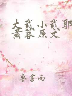 大武小武耶律齐黄蓉原文