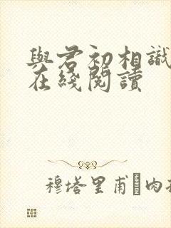 与君初相识全文在线阅读
