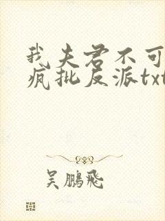 我夫君不可能是疯批反派txt下载