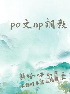 po文np调教