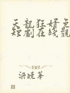 天龙狂婿免费的短剧在线观看完整版