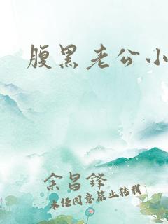 腹黑老公小萌妻