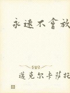 永远不会放弃