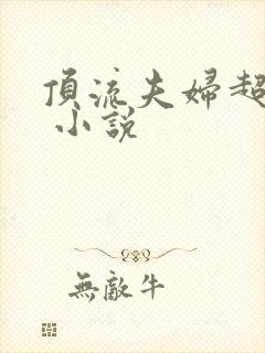 顶流夫妇超甜的 小说