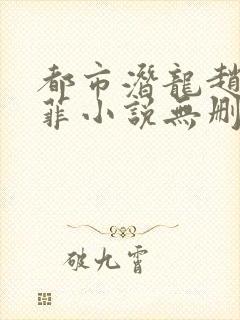 都市潜龙赵东苏菲小说无删减版