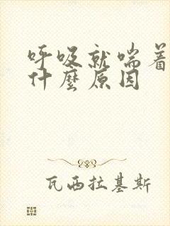 呼吸就喘着咳是什么原因 呼吸就喘着咳是什么原因