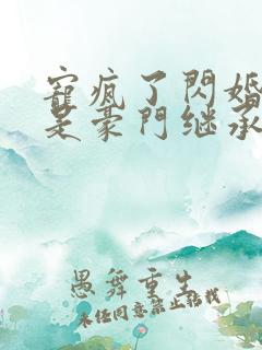 宠疯了闪婚老公是豪门继承人