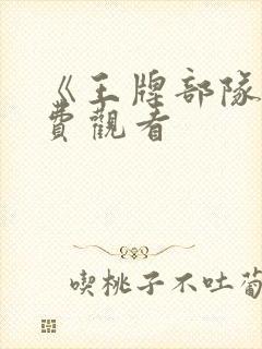《王牌部队》免费观看