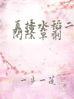 直播水稻二次封闭除草剂