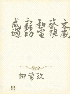 成毅和蔡文静演过的电视剧
