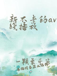新不卡的av在线播放
