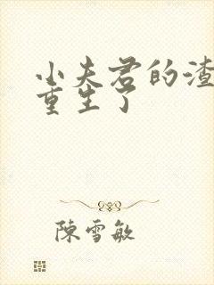 小夫君的渣攻他重生了