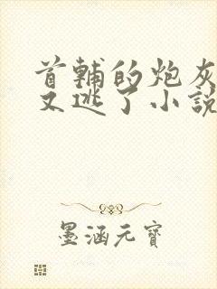 首辅的炮灰原配又逃了小说