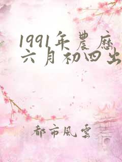1991年农历六月初四出生人八字算命