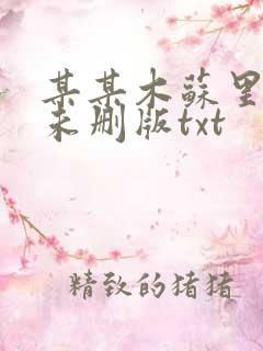 某某木苏里小说未删版txt
