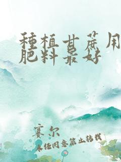 种植甘蔗用什么肥料最好