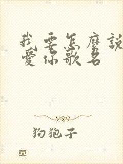 我要怎么说我不爱你歌名 我要怎么说我不爱你歌名
