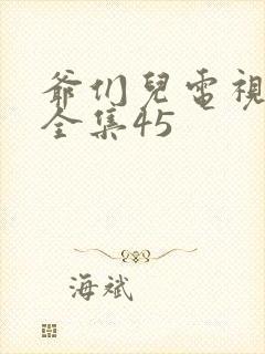 爷们儿电视剧 全集45