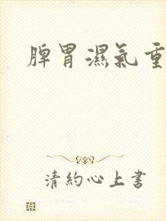 脾胃湿气重痰湿