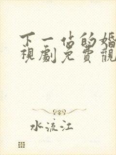 下一站的婚姻电视剧免费观看