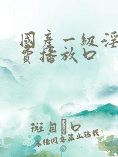 国产一级淫片免费播放口
