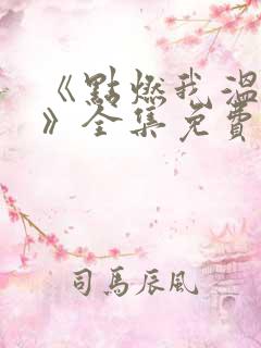 《点燃我温暖你》全集免费电视剧