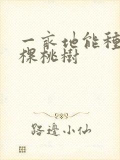 一亩地能种多少棵桃树