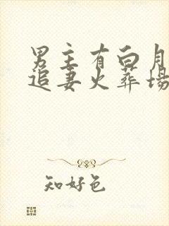 男主有白月光的追妻火葬场
