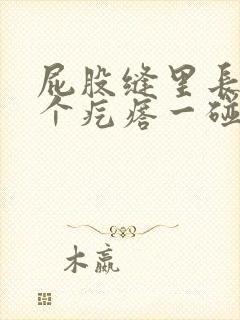 屁股缝里长了一个疙瘩一碰就疼