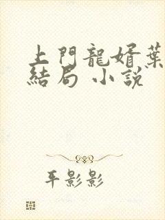 上门龙婿叶辰大结局 小说