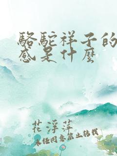 骆驼祥子的读后感是什么