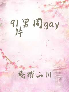 91男同gay 片