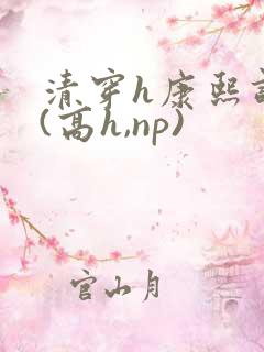 清穿h康熙调教(高h,np)