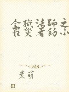 全职法师之音系罹灾者的小说